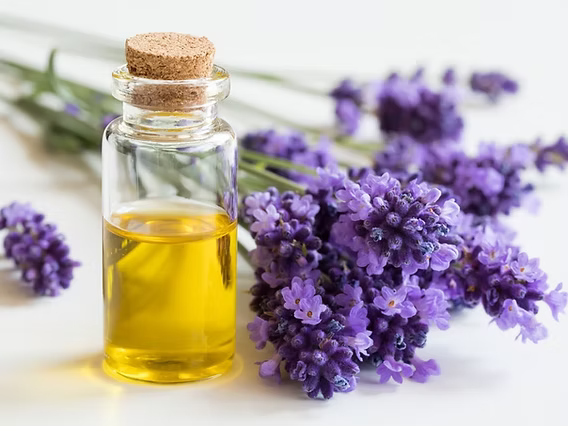 Huile Essentielle de Lavande Fréquentielle – Relaxante, apaisante, harmonisante