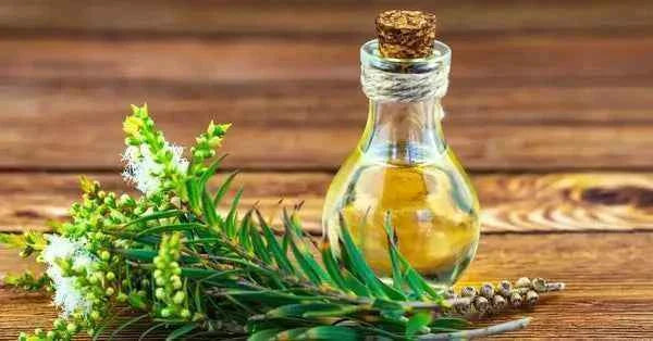 Bundle Rose Enchantée – Immersion rose glow magique